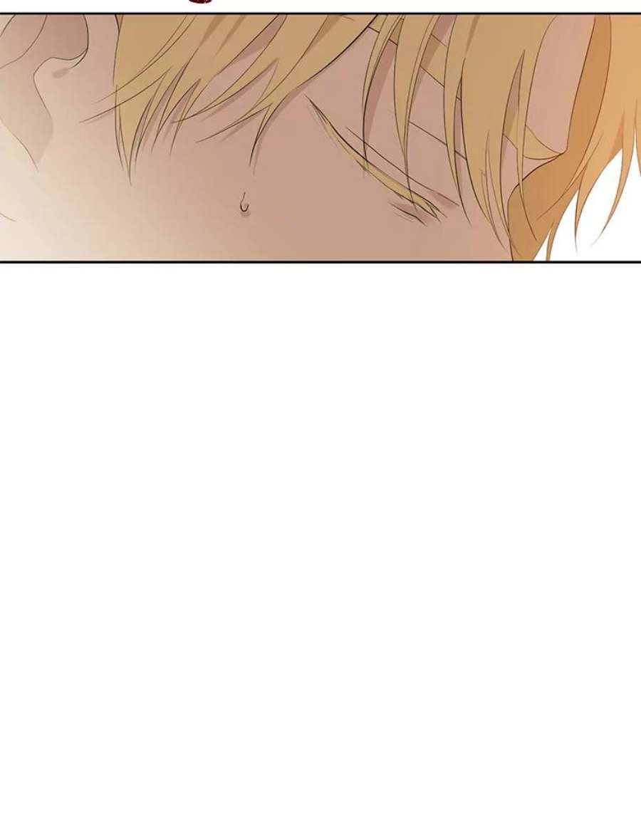 真与假的精灵师少女62.珂赛特的阴谋