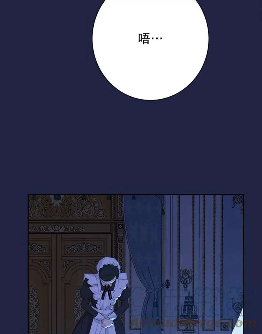 真与假的精灵师少女62.珂赛特的阴谋