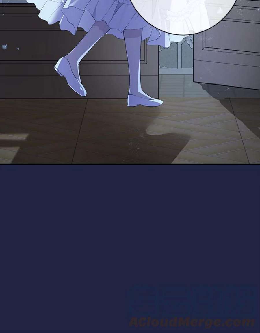 真与假的精灵师少女62.珂赛特的阴谋