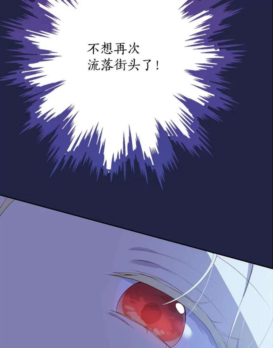 真与假的精灵师少女62.珂赛特的阴谋