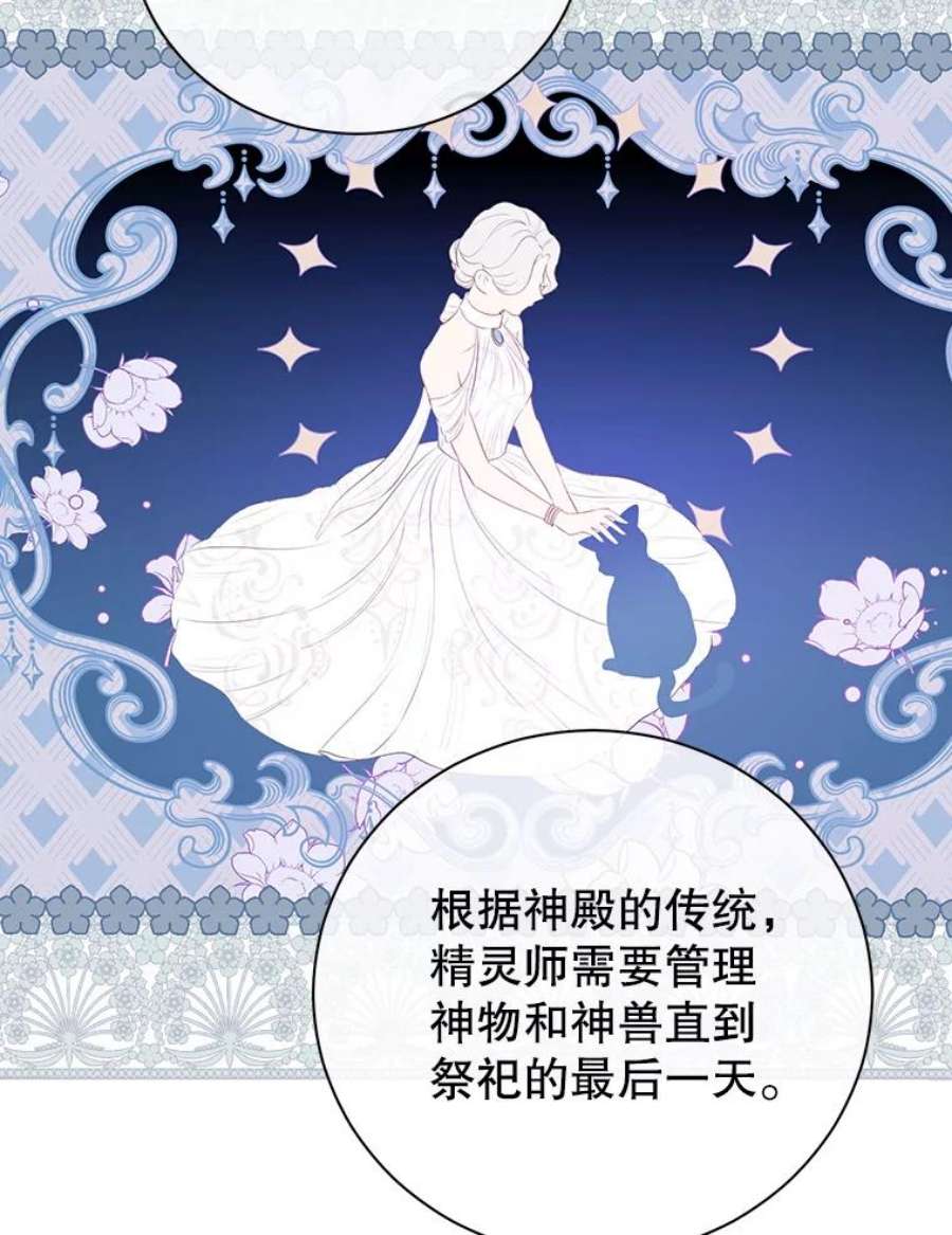 真与假的精灵师少女64.神兽和神物