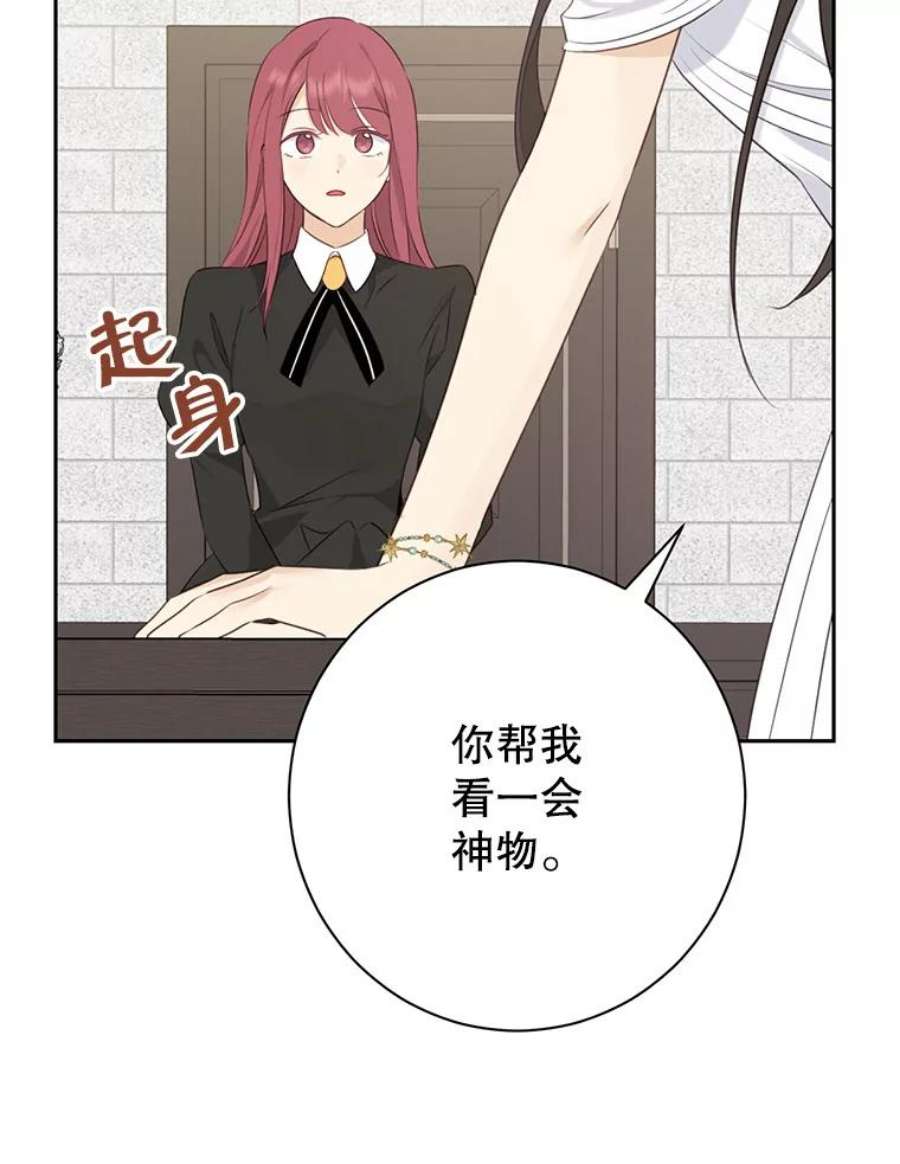 真与假的精灵师少女64.神兽和神物