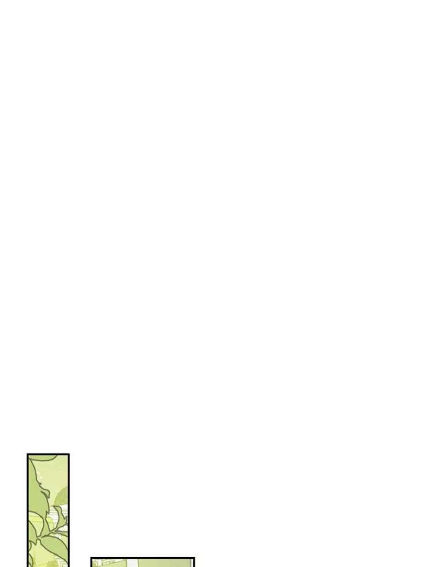 真与假的精灵师少女64.神兽和神物