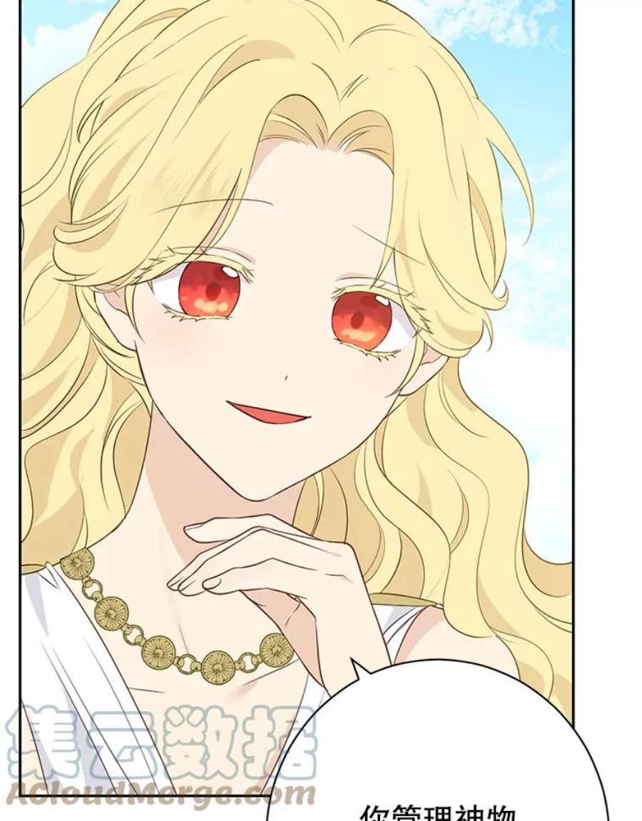 真与假的精灵师少女64.神兽和神物