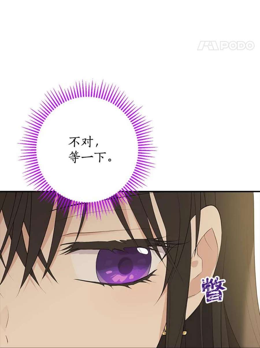 真与假的精灵师少女64.神兽和神物