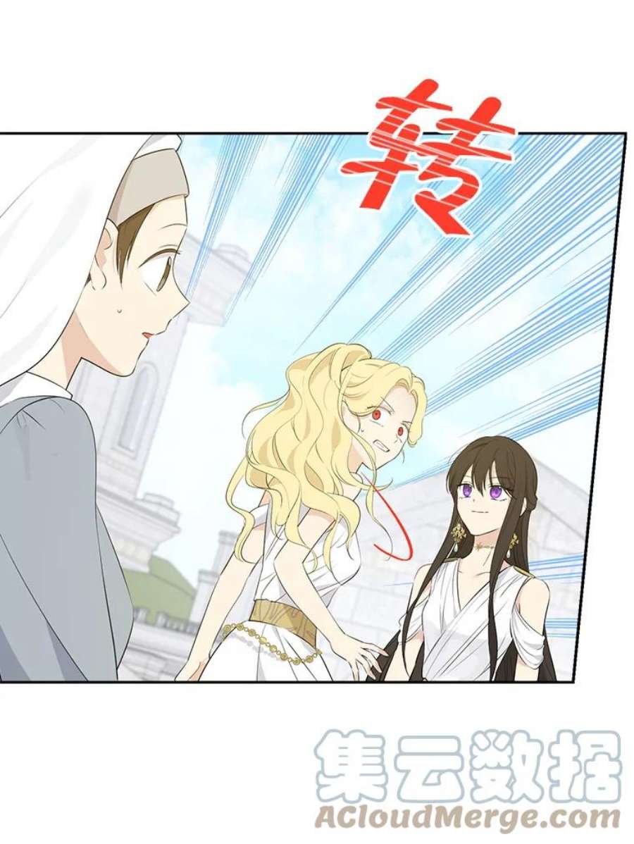 真与假的精灵师少女65.埋伏