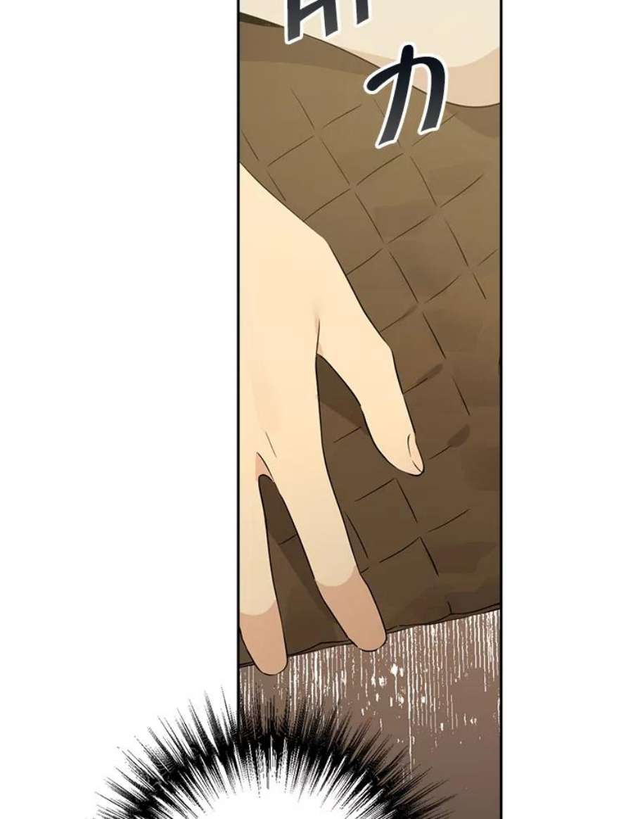 真与假的精灵师少女65.埋伏