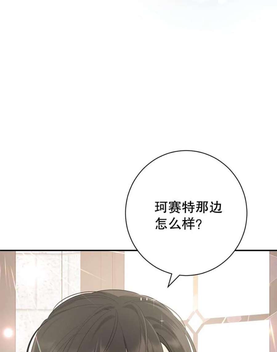 真与假的精灵师少女65.埋伏