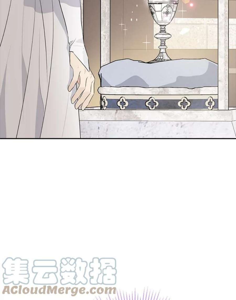 真与假的精灵师少女65.埋伏