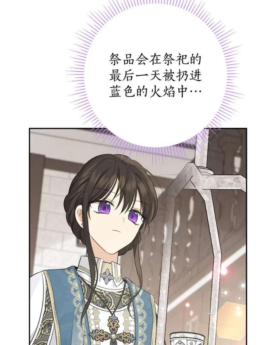 真与假的精灵师少女65.埋伏