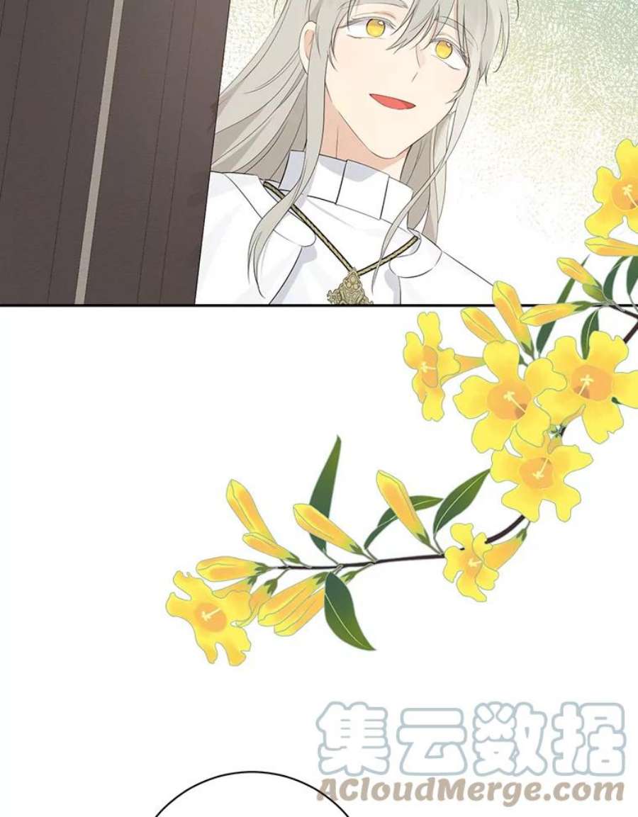 真与假的精灵师少女65.埋伏