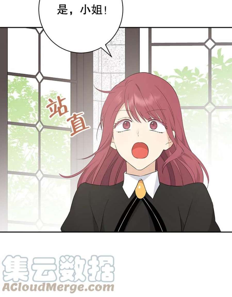 真与假的精灵师少女65.埋伏