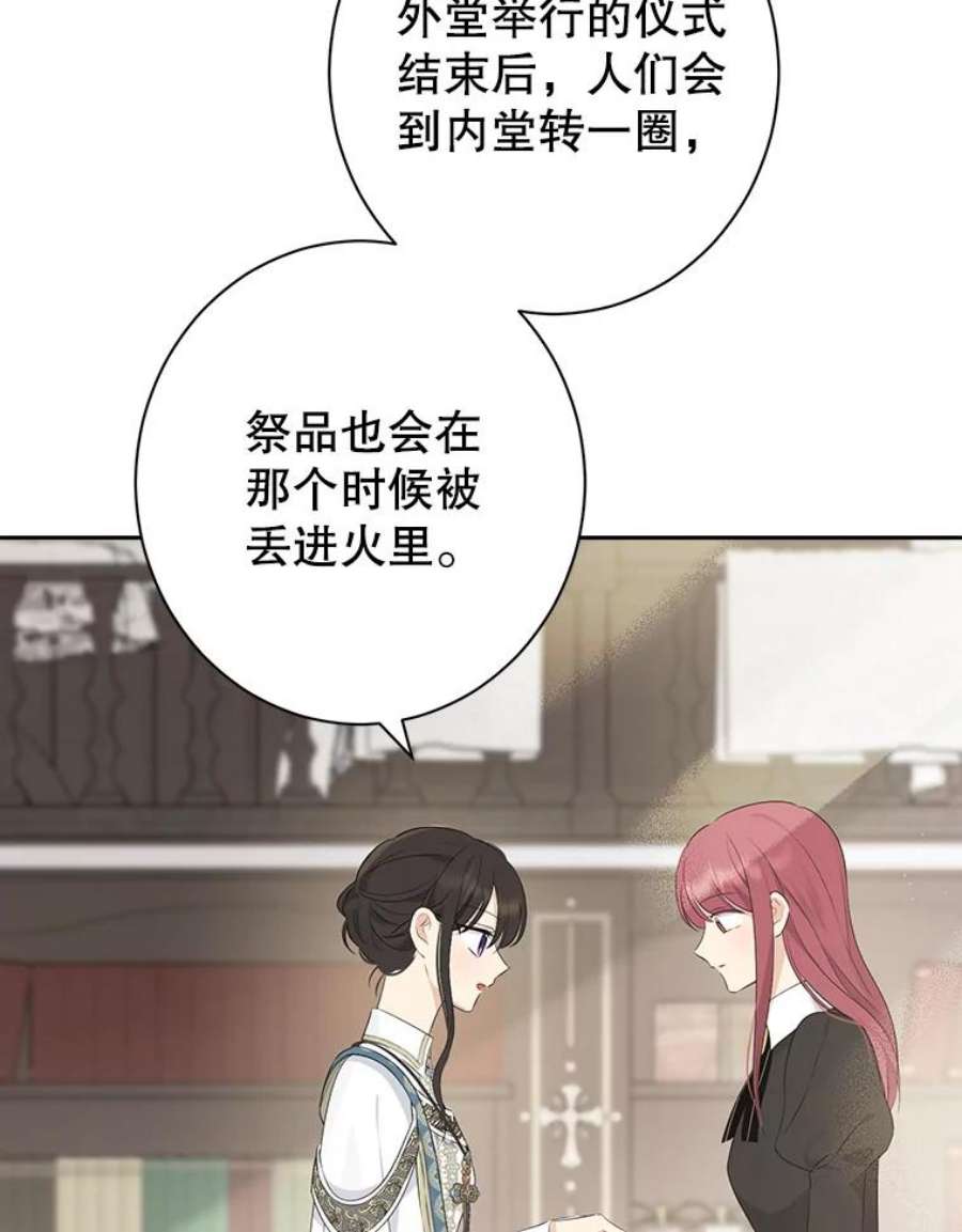 真与假的精灵师少女65.埋伏