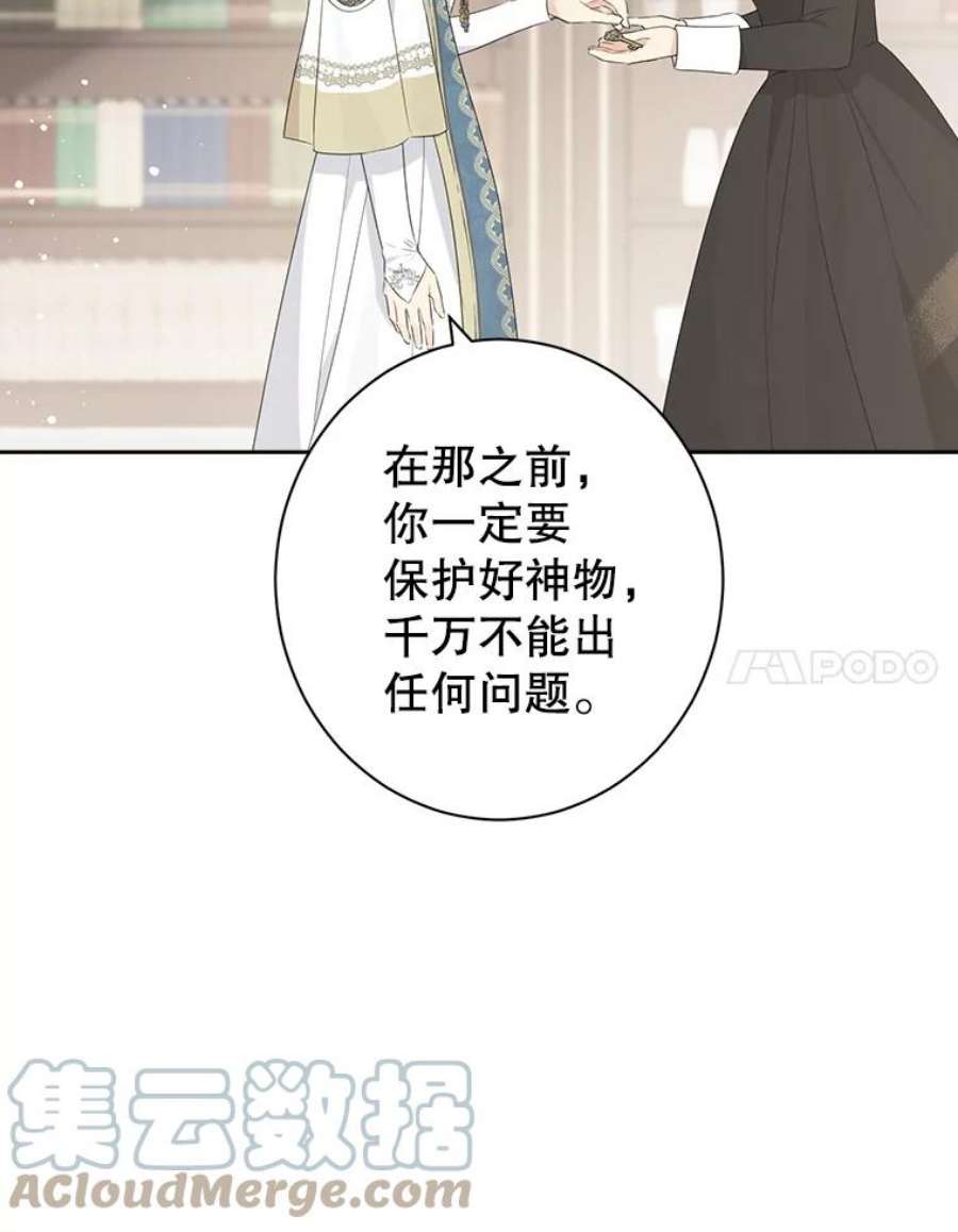 真与假的精灵师少女65.埋伏