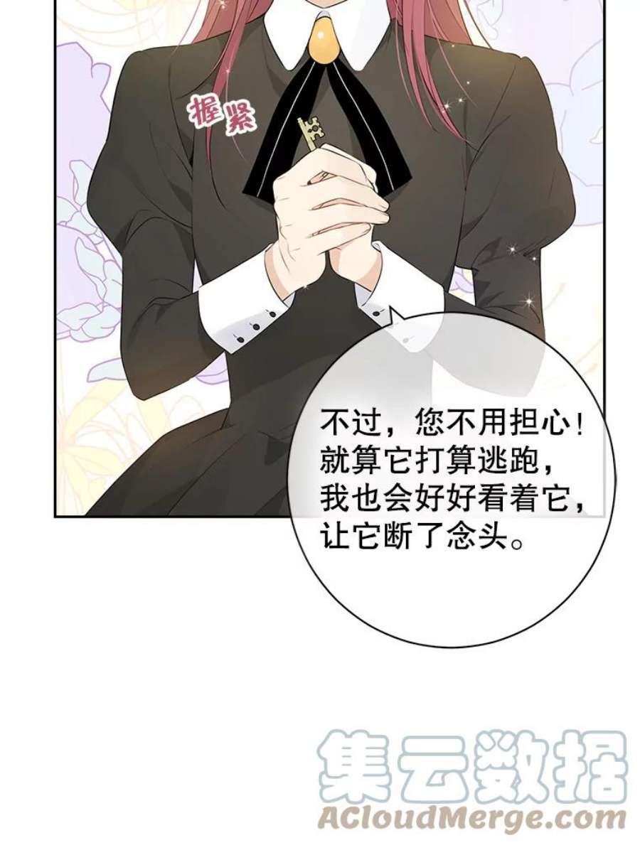 真与假的精灵师少女65.埋伏