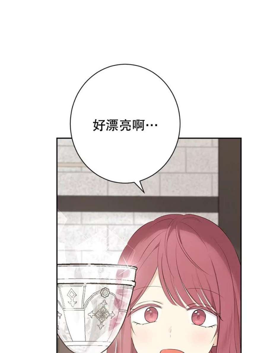 真与假的精灵师少女65.埋伏