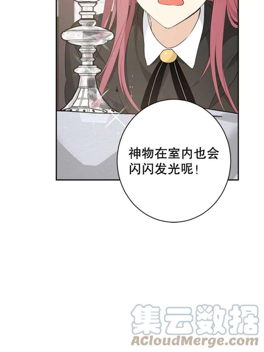 真与假的精灵师少女65.埋伏