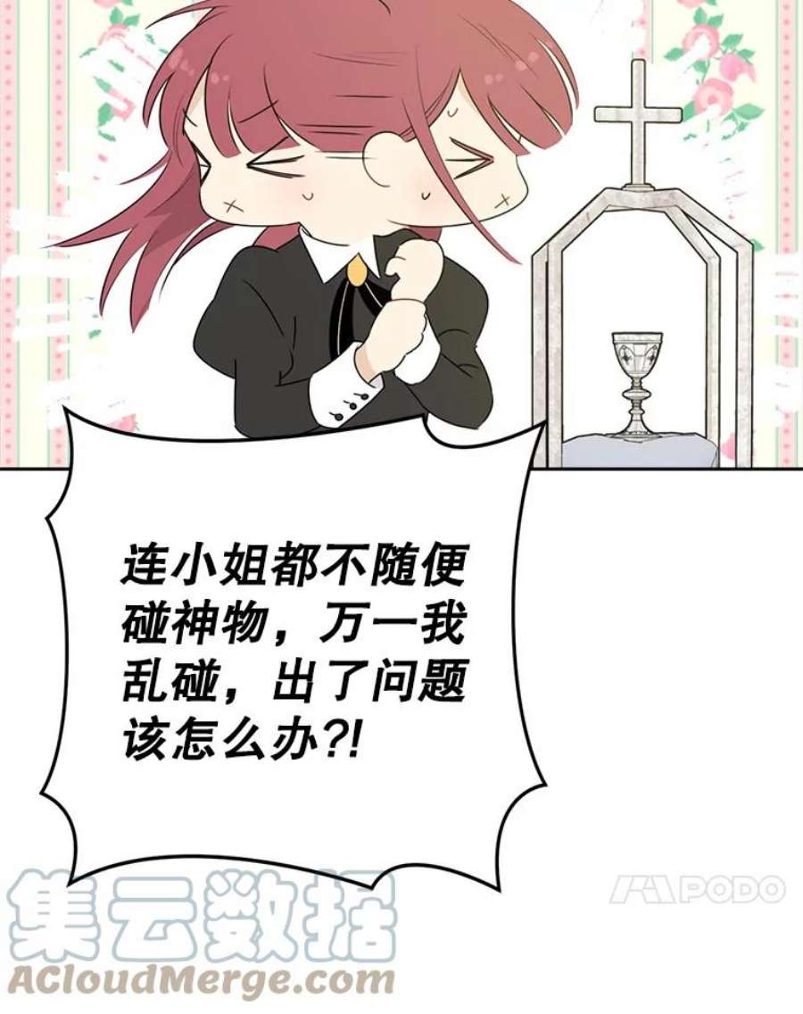 真与假的精灵师少女65.埋伏