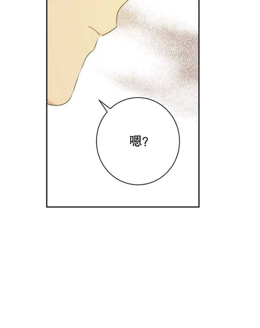 真与假的精灵师少女65.埋伏