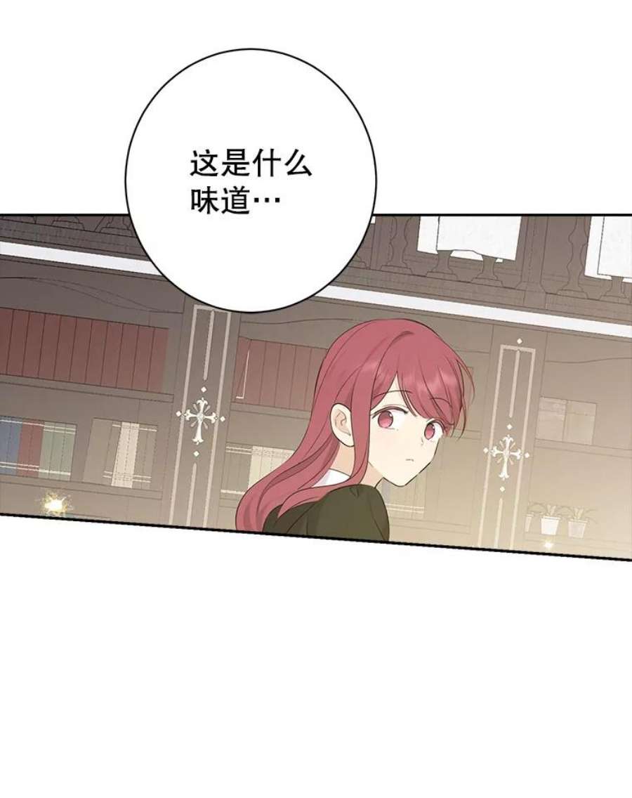 真与假的精灵师少女65.埋伏