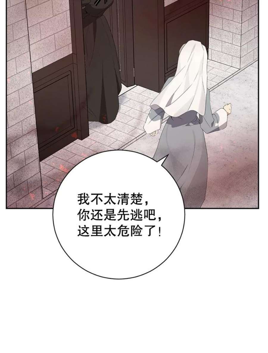 真与假的精灵师少女66.神物与阴谋