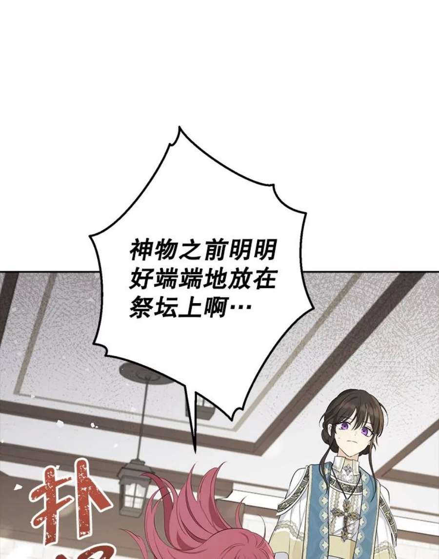 真与假的精灵师少女66.神物与阴谋