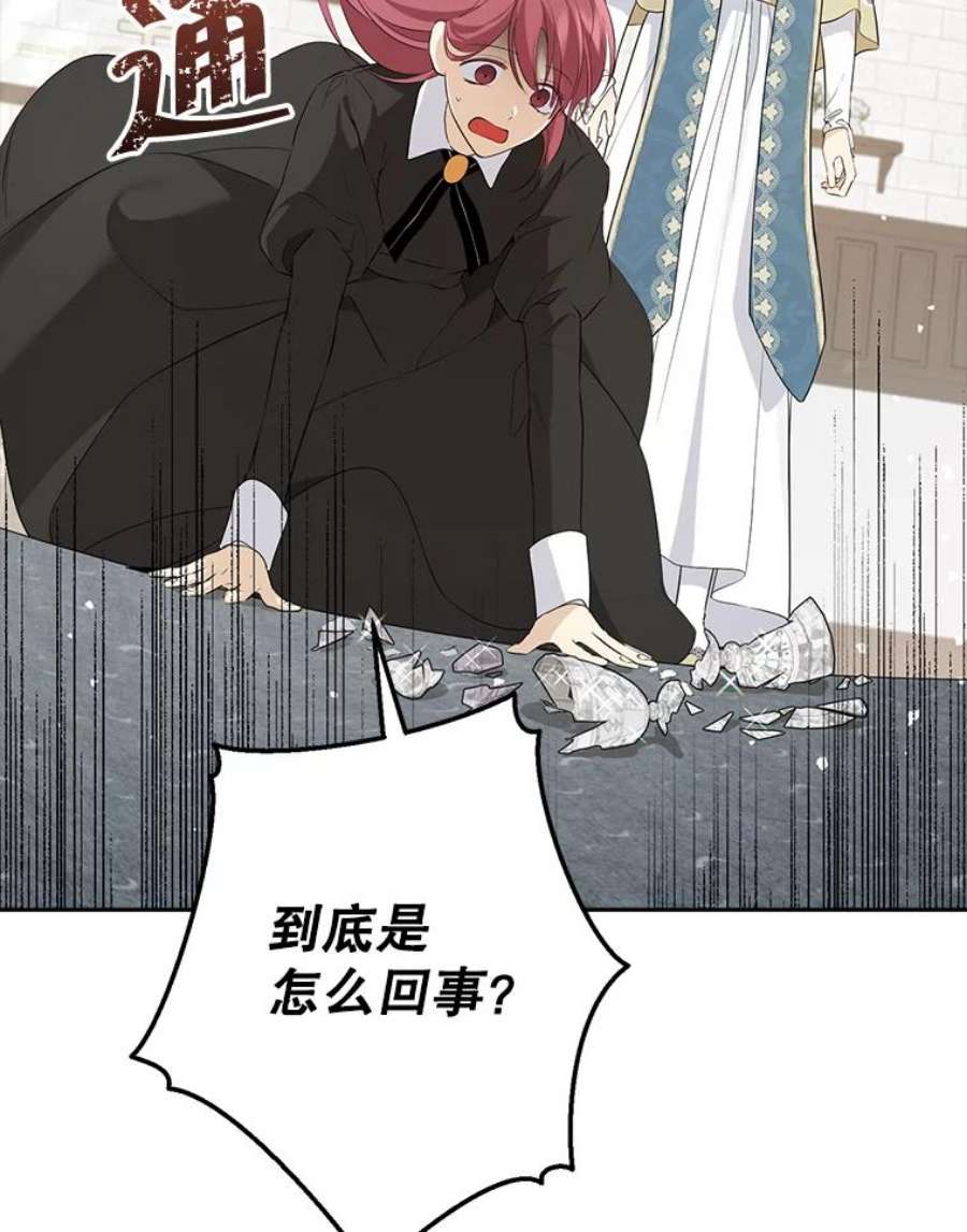 真与假的精灵师少女66.神物与阴谋