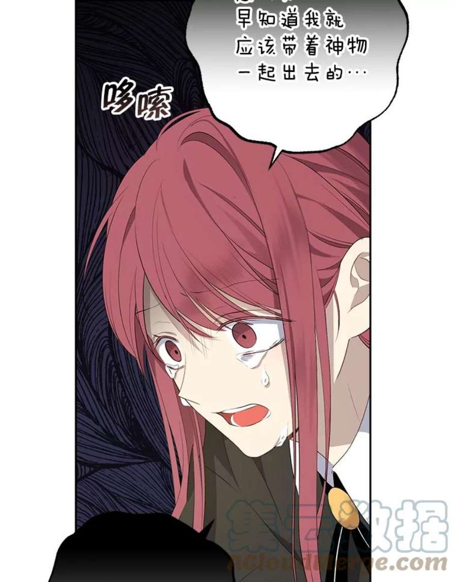 真与假的精灵师少女66.神物与阴谋