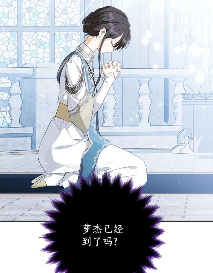 真与假的精灵师少女67.反转