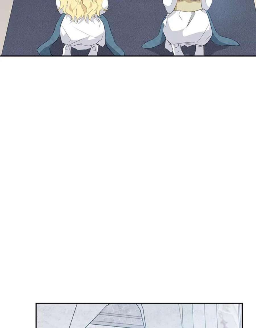 真与假的精灵师少女67.反转