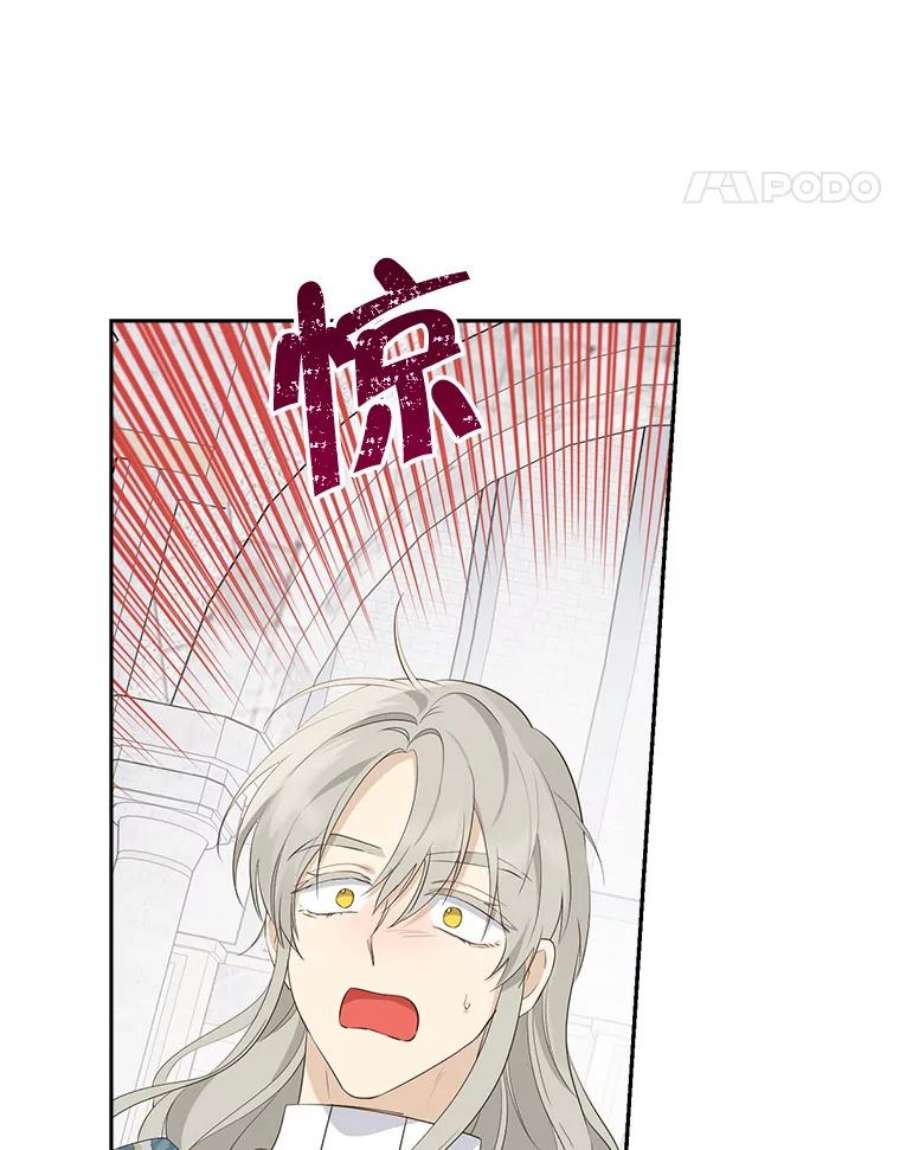 真与假的精灵师少女67.反转