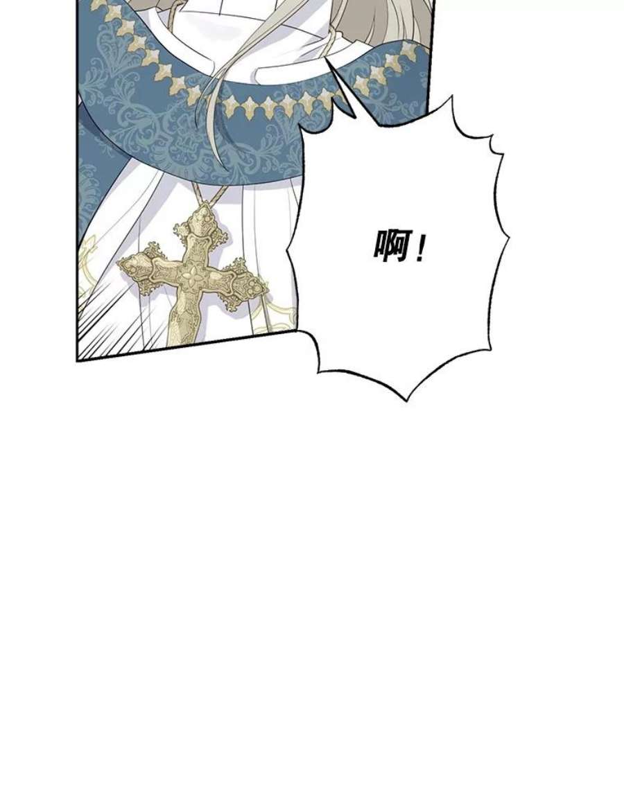 真与假的精灵师少女67.反转