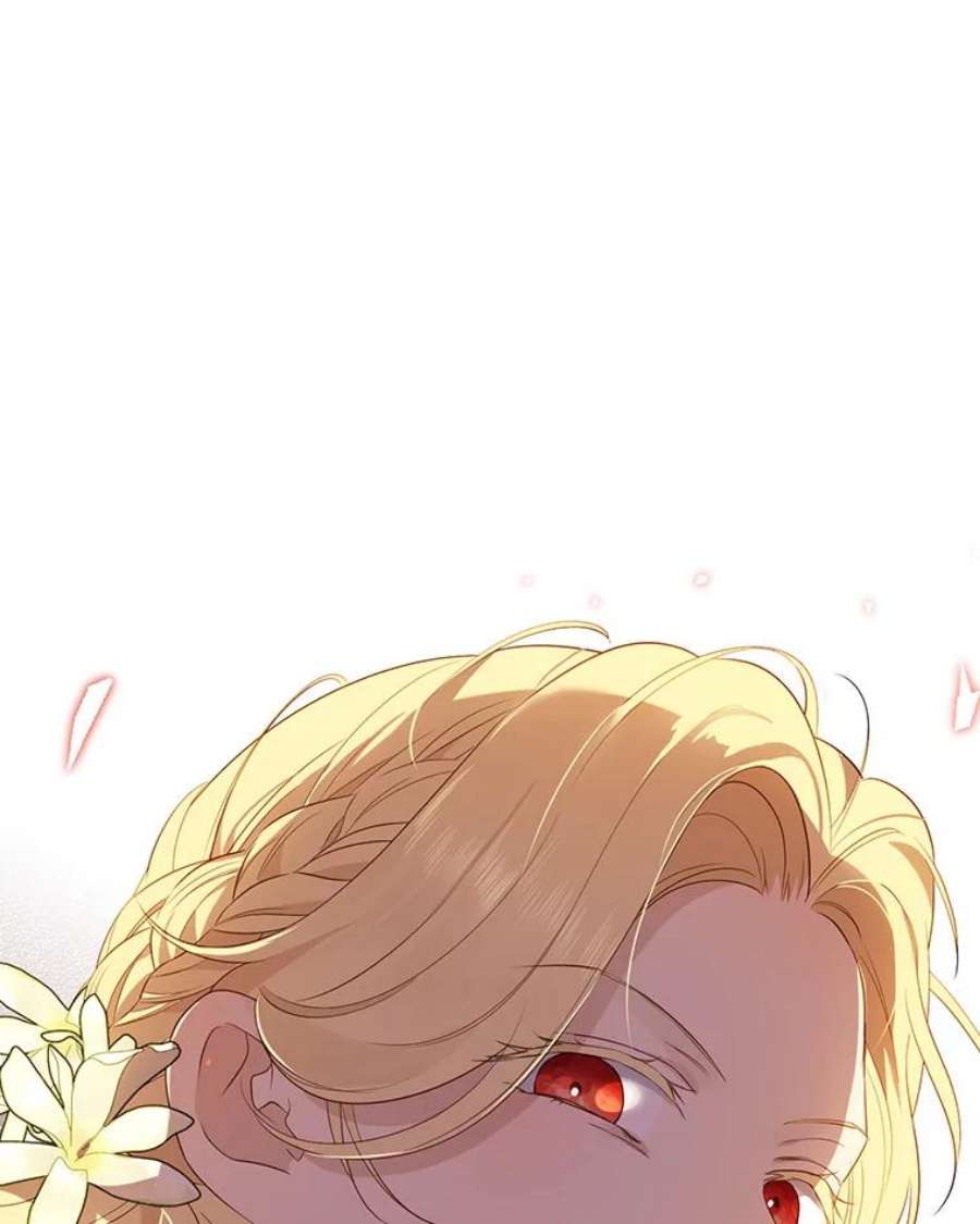 真与假的精灵师少女67.反转