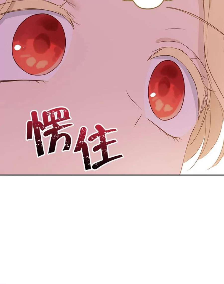 真与假的精灵师少女67.反转