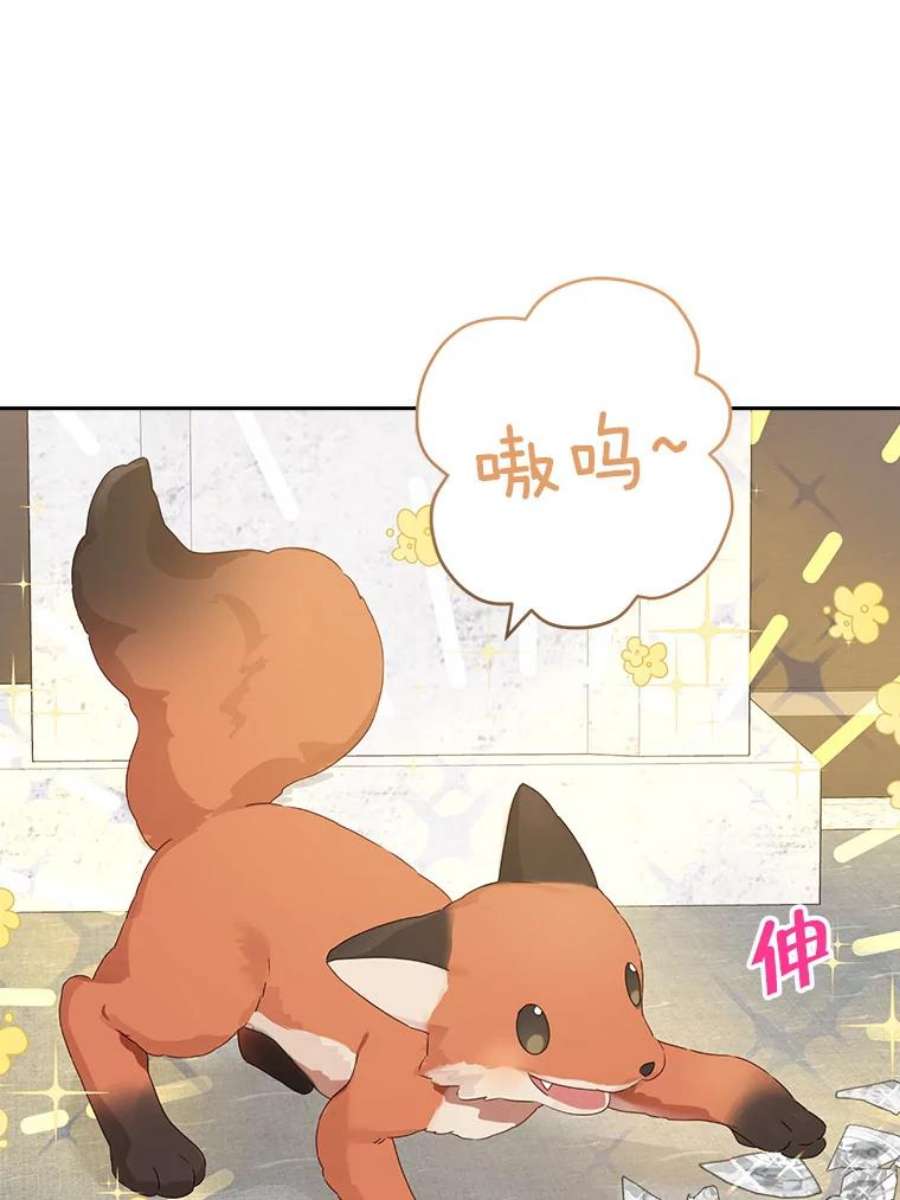 真与假的精灵师少女67.反转