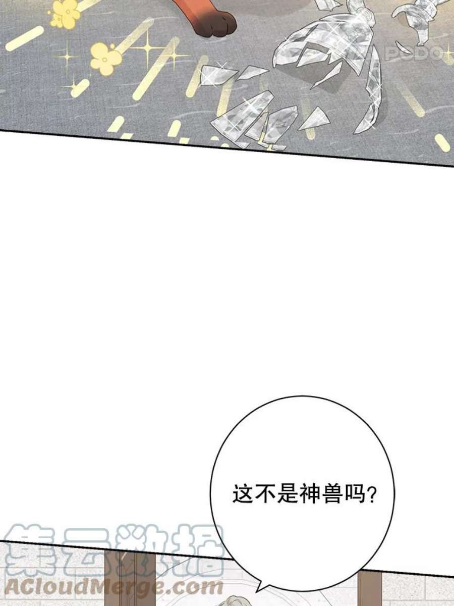 真与假的精灵师少女67.反转