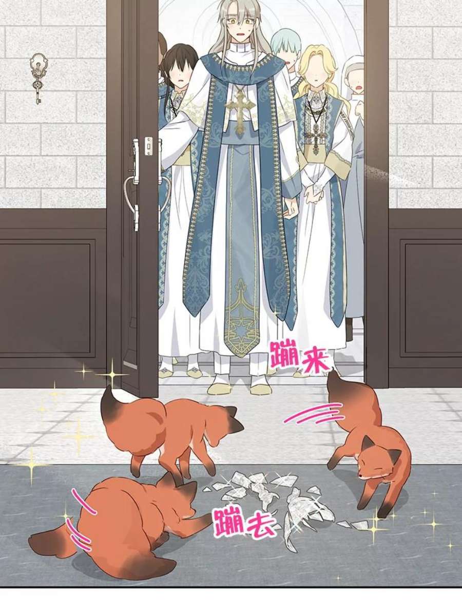 真与假的精灵师少女67.反转