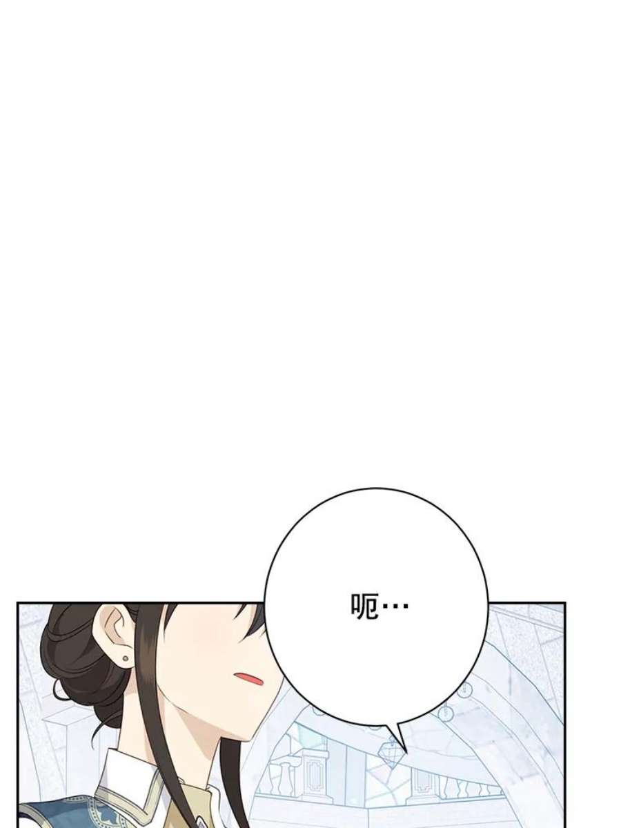 真与假的精灵师少女67.反转