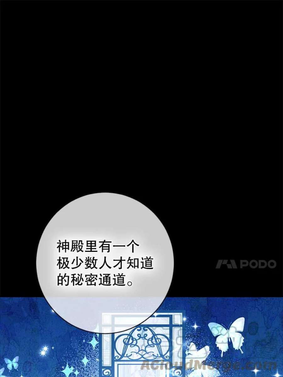 真与假的精灵师少女67.反转