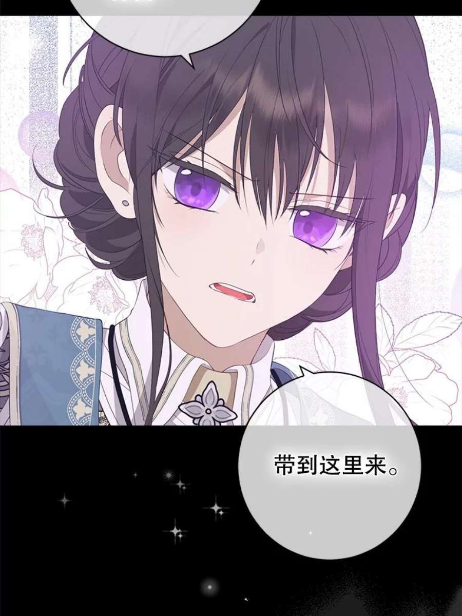 真与假的精灵师少女67.反转