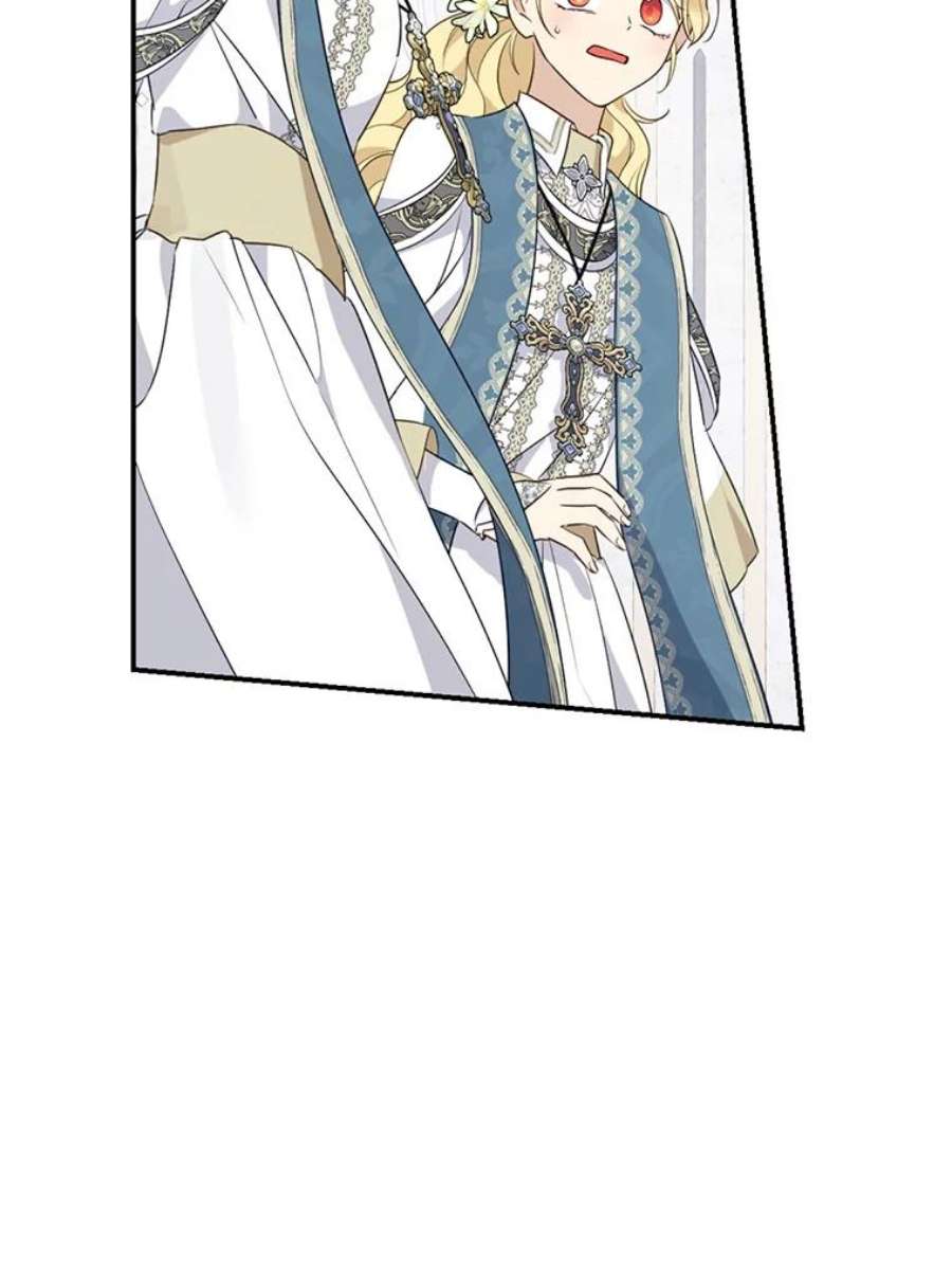 真与假的精灵师少女67.反转