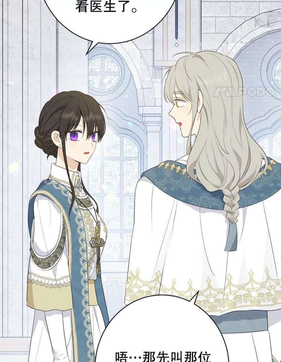 真与假的精灵师少女68.跟对主子很重要