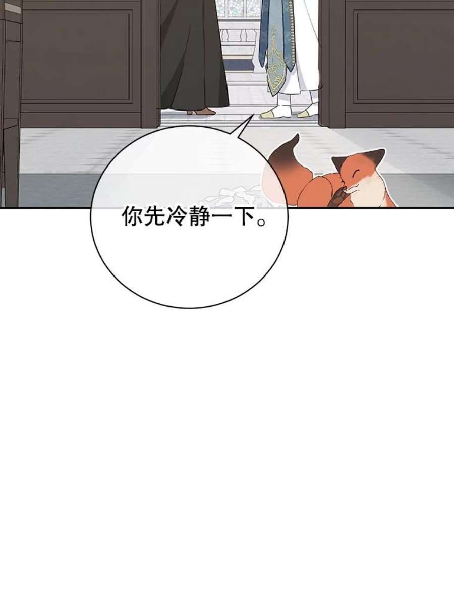 真与假的精灵师少女68.跟对主子很重要