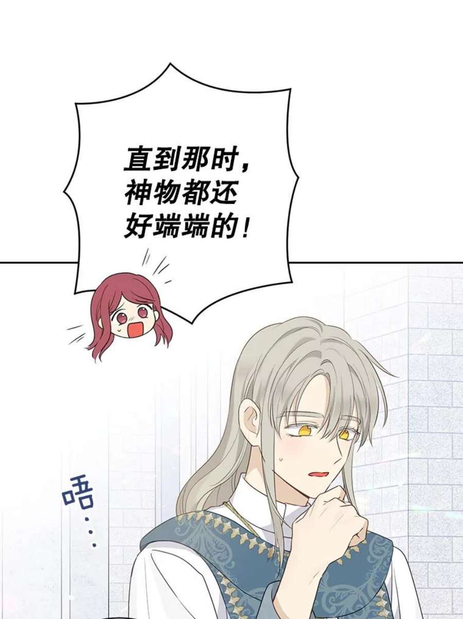 真与假的精灵师少女68.跟对主子很重要