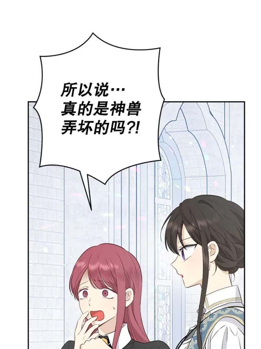 真与假的精灵师少女68.跟对主子很重要