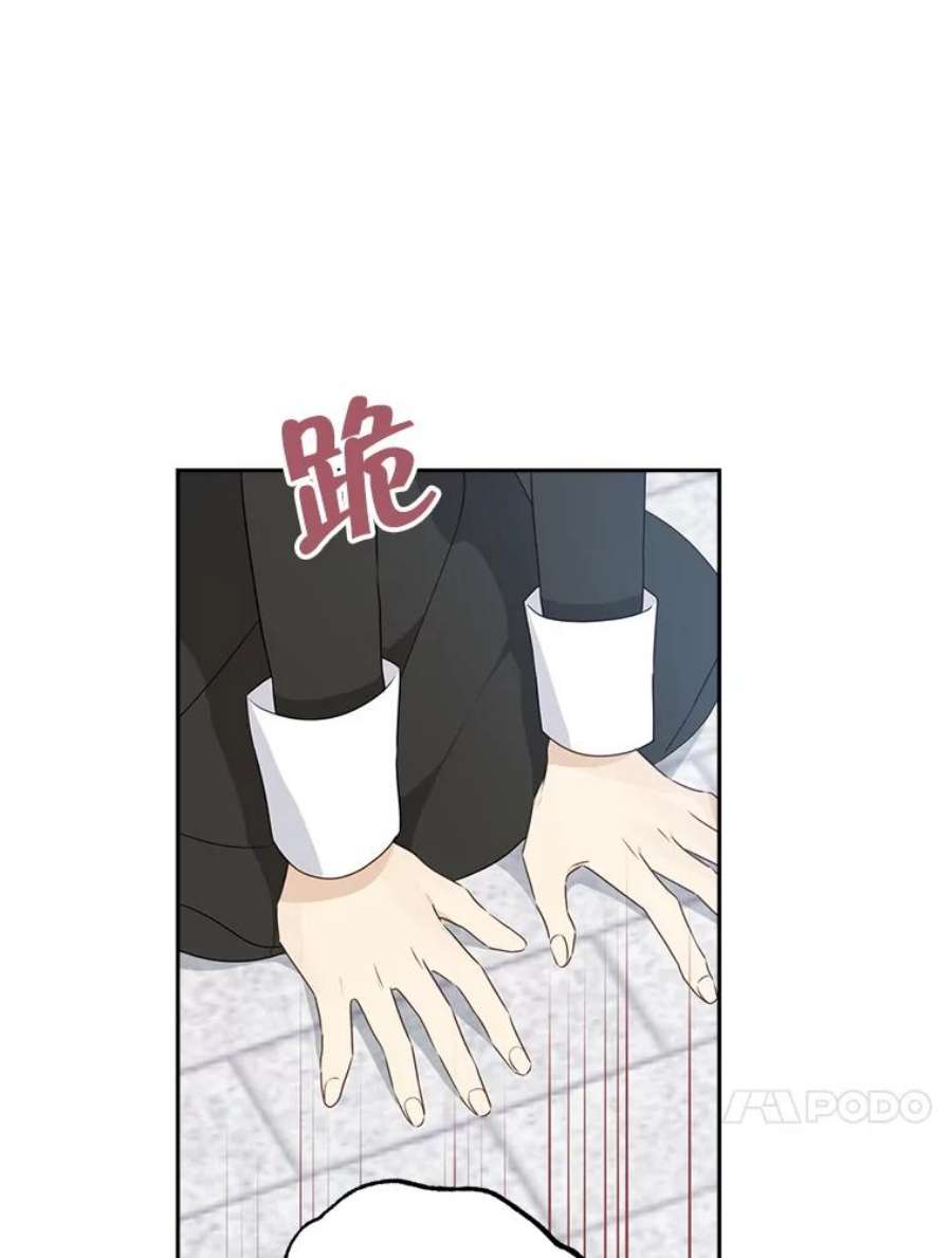 真与假的精灵师少女68.跟对主子很重要