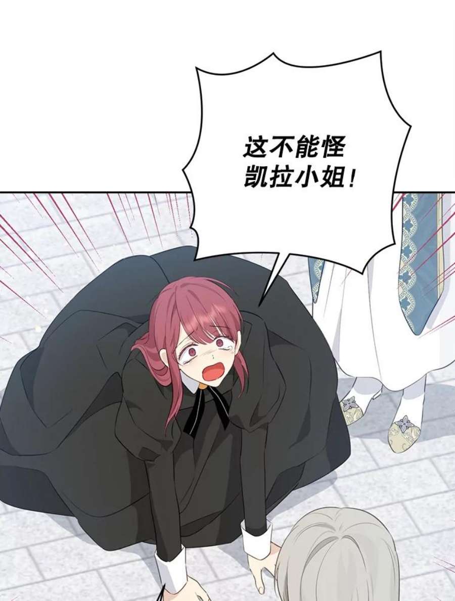 真与假的精灵师少女68.跟对主子很重要