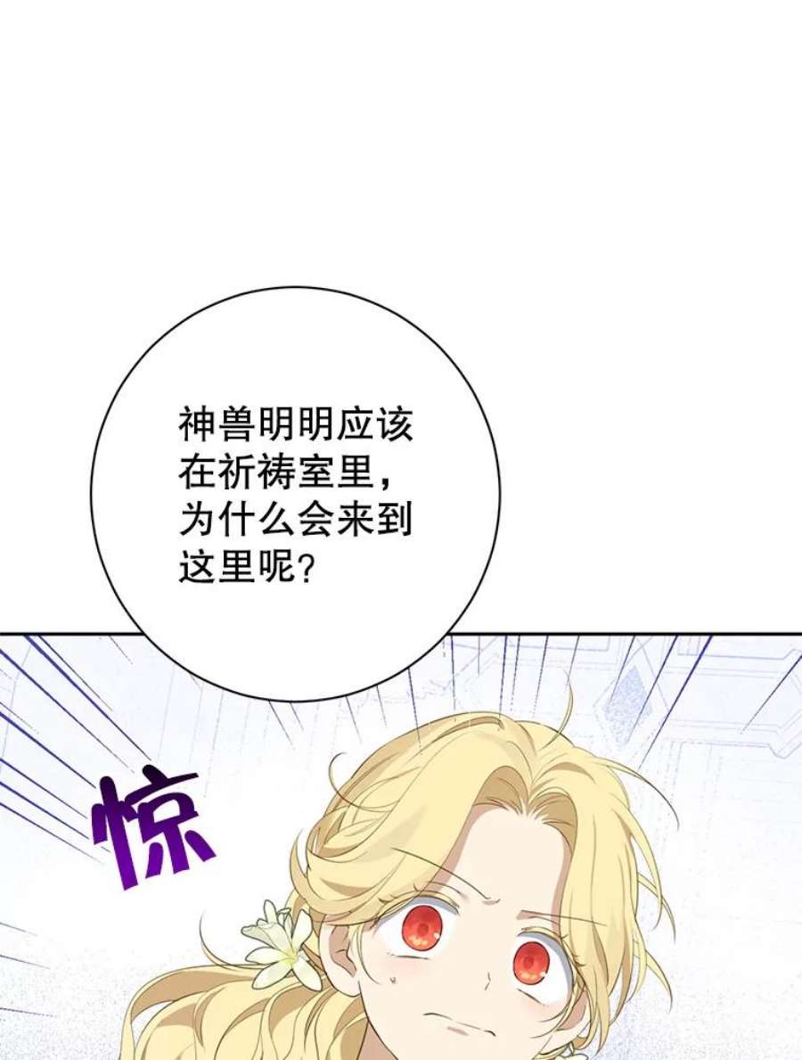 真与假的精灵师少女68.跟对主子很重要