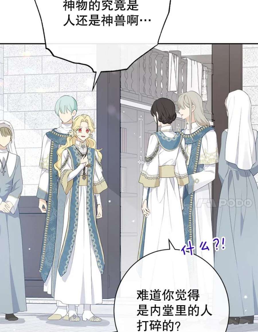 真与假的精灵师少女68.跟对主子很重要