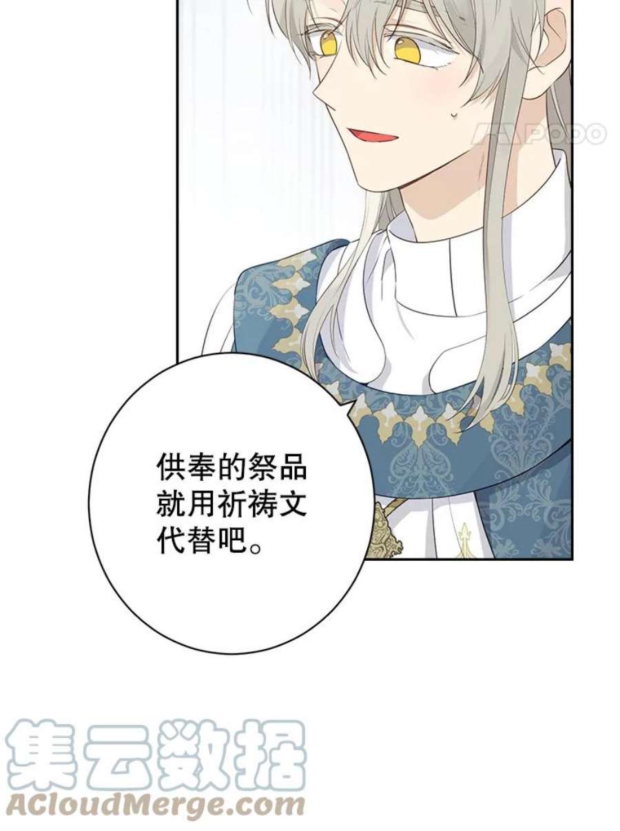 真与假的精灵师少女69.一石二鸟